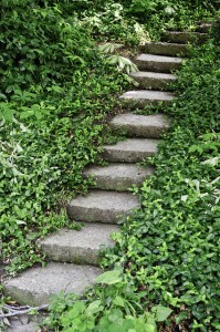 A staircase with old stone steps in a park, among thick green vegetation consisting of small plants, bushes and trees.